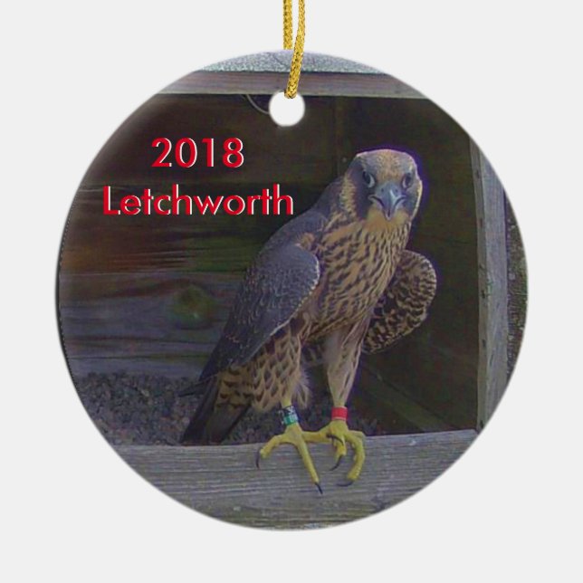 2018 Ornamento cerámico Letchworth (Frente)