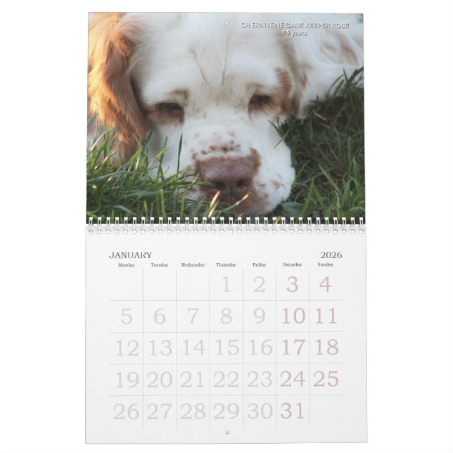 2019 calendario de Erinveine - perros de aguas de (Jan 2026)