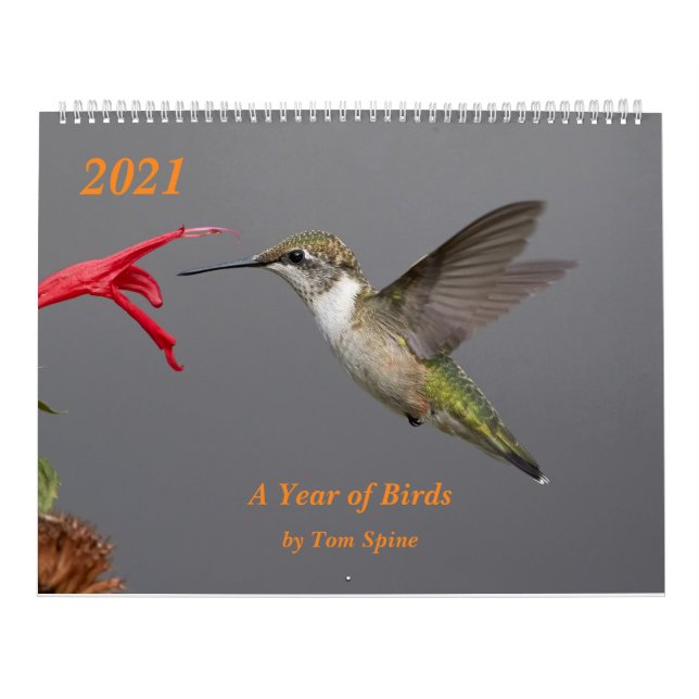 2021 ~ Calendario de un año de aves (Tapa)
