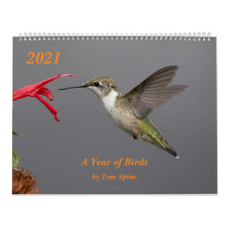 2021 ~ Calendario de un año de aves