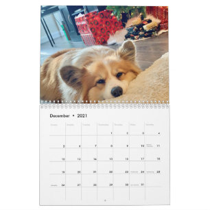 2021 Hudson el calendario de los flautos corgi