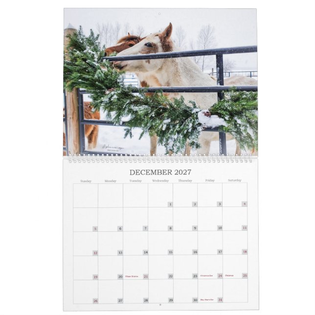 2023- Calendario del Año Mustang de Michigan (Dec 2027)