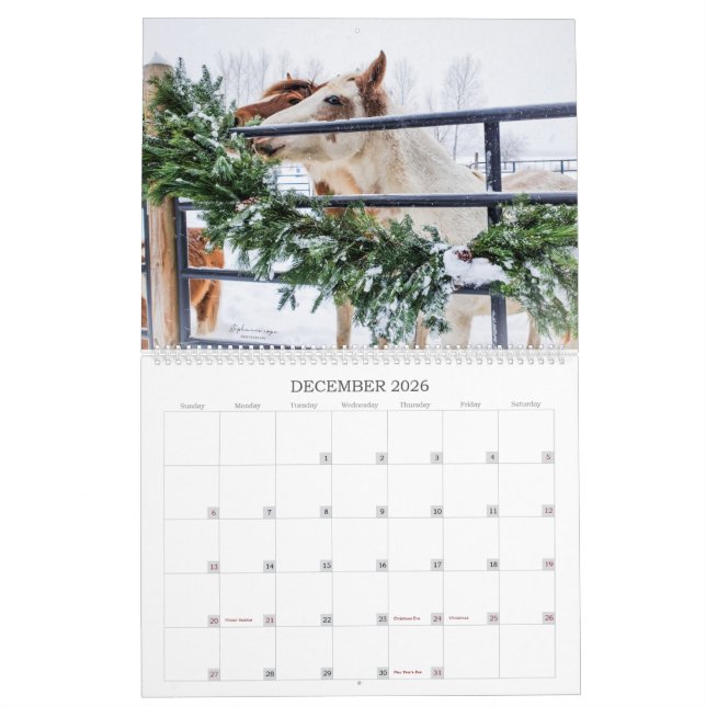 2023- Calendario del Año Mustang de Michigan (Dec 2026)