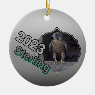 2023 Cerámica Círculo Ornamento Sterling