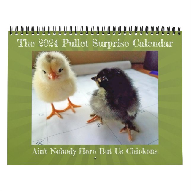 2024 Aquí no hay nadie más que el calendario de po (Tapa)