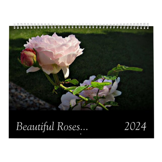 2024 Hermosos Rosas Calendario de paredes grandes  (Tapa)