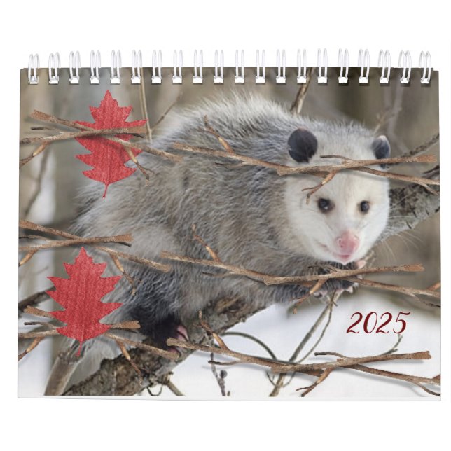 2025 Calendario Naturaleza Opossum Vida silvestre (Reverso)