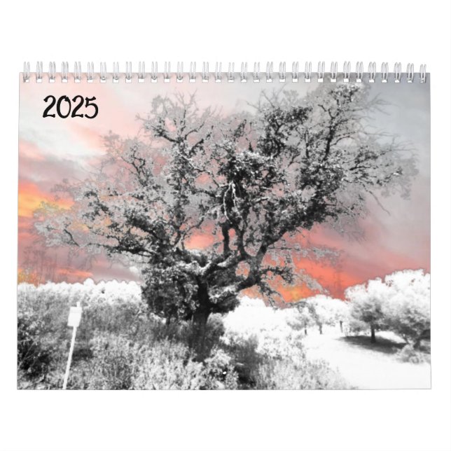 2025 Calendario Planner arte y diseño (Tapa)