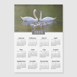 2025 Calendario Swan & Cygnets