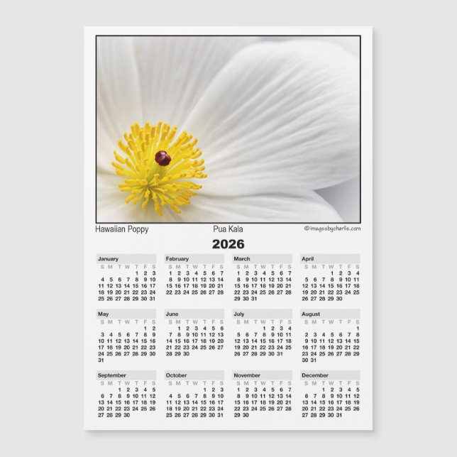 2026 5x7 Magnet Calendar Pua Kala Hawaiian Poppy (Anverso)