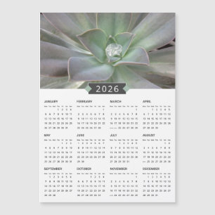 2026 Imán del Calendario de Fotografías Suculentas