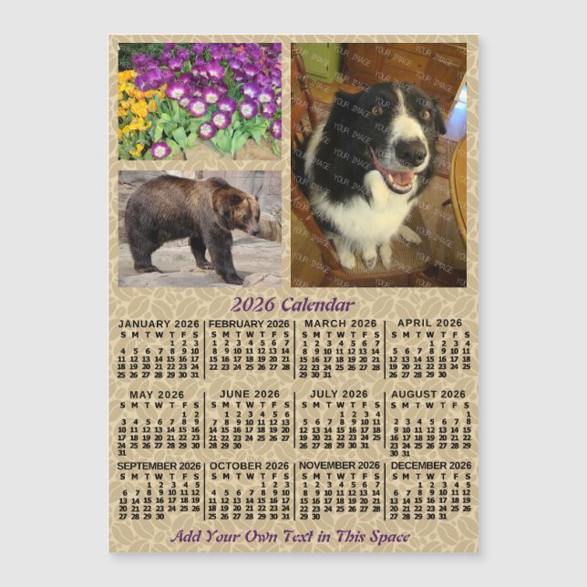 2026 Year Calendar Coffee Beans 3 Photos Magnet (Anverso)