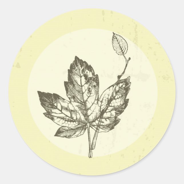 20 - 1.5 Hojas de caída de mano de Sello para sobr (Anverso)