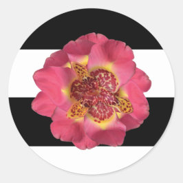 20 - 1.5 Sello para sobres Banda moderna Blanco ne