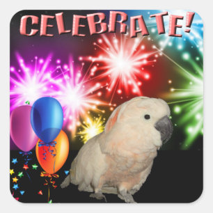 20 pegatinas Moluccan Cockatoo