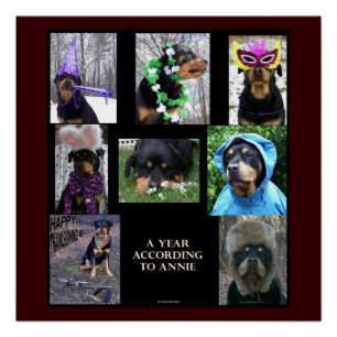 20 X 20" poster "A Year Según Annie"