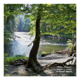 20" x 20", Poster (semibrillante)