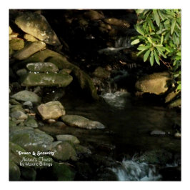 20" x 20", Poster (semibrillante)