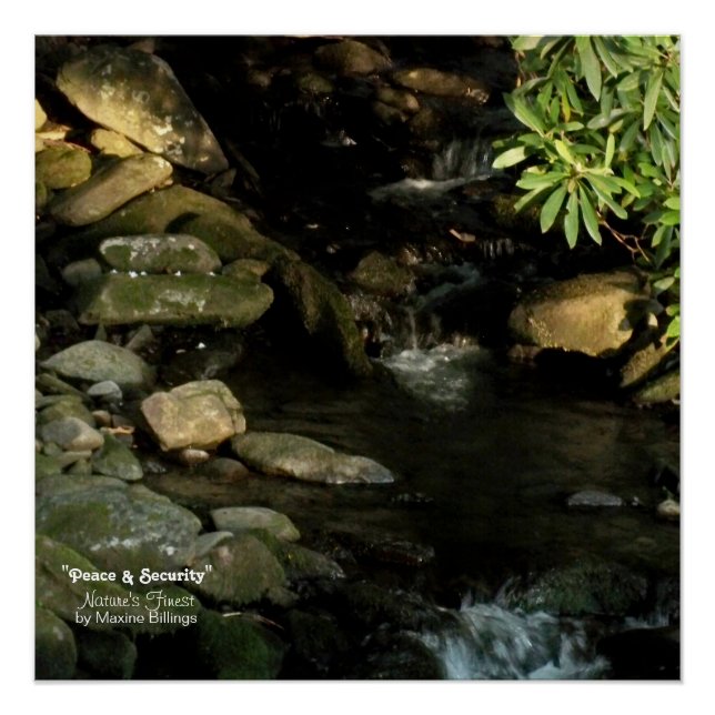 20" x 20", Poster (semibrillante) (Anverso)