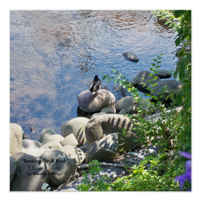 20" x 20", Poster (semibrillante) (Anverso)