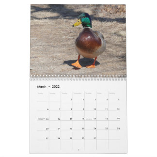 22 de marzo a 23 de febrero en el calendario natur