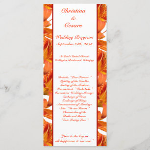 25 4x9 Naranja del programa de bodas Tiger Lilly c