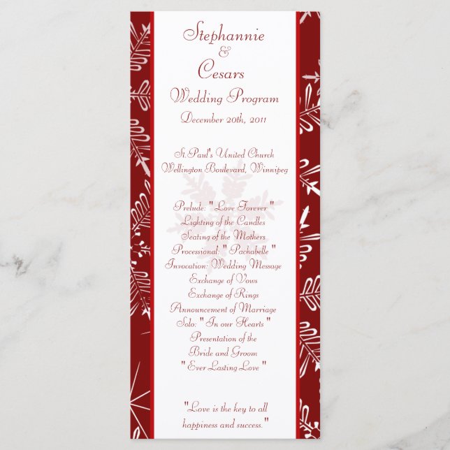 25 4x9 Navidades del programa de bodas Red Snowfla (Anverso)
