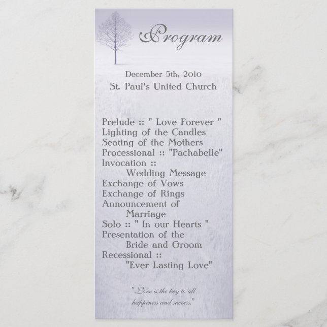 25 4x9 Programa Boda Invierno Árboles de Maravilla (Anverso)