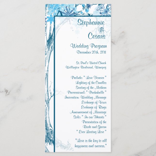 25 4x9 Programa de Bodas Árbol Azul / Copos de nie (Anverso)