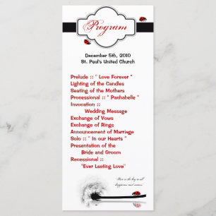 25 4x9 Programa de Bodas Lady Bug Dandilion Flower