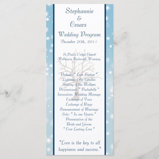 25 4x9 Programa de Bodas Twinkling Nieve / Árbol d (Anverso)