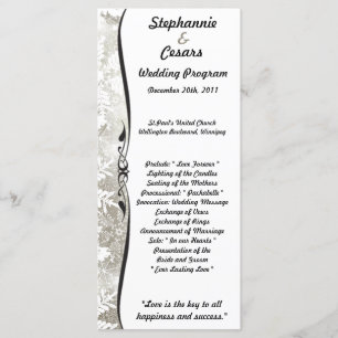 25 4x9 Programa de matrimonio Navidades plateados