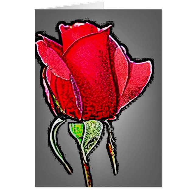 25 color de rosa (Frente)