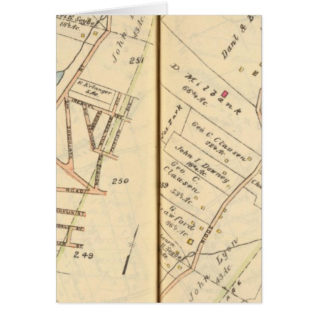 260261 Rye, Harrison (Frente)