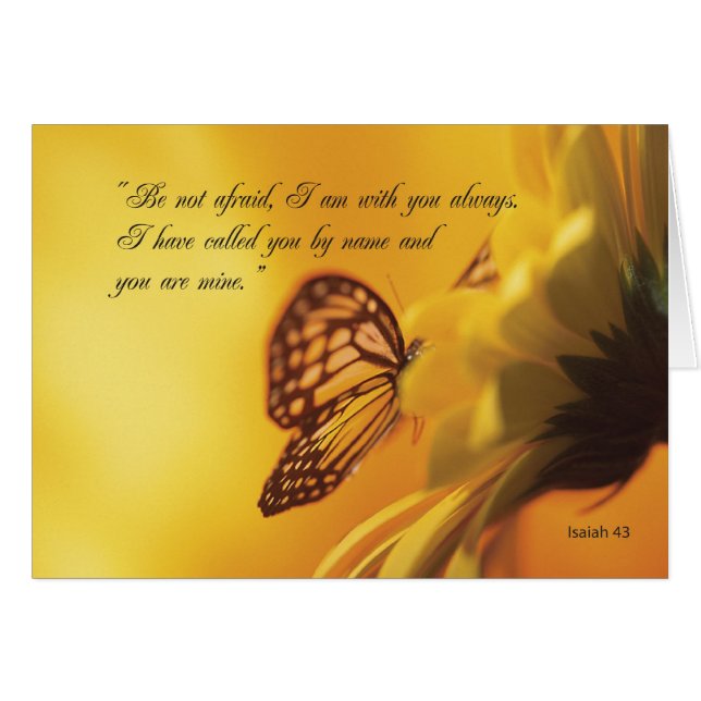 2607 No tengas miedo de las mariposas y las flores (Anverso (Horizontal))