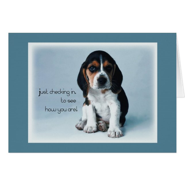 2769 Registro De Cachorros (Anverso (Horizontal))