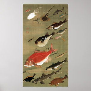 28. 群 図 魚, 若 冲 varios pescados, Jakuchū, Arte Japo