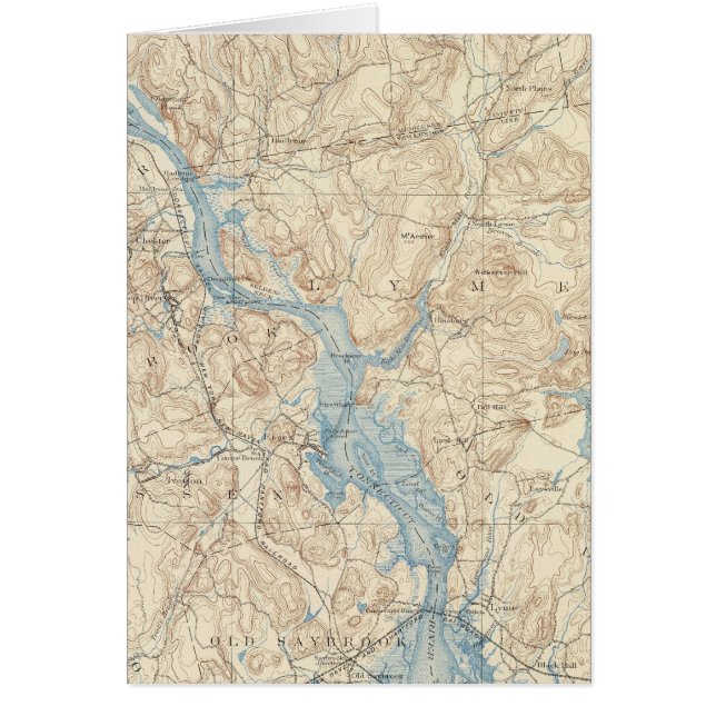 28 Hoja de Saybrook (Frente)