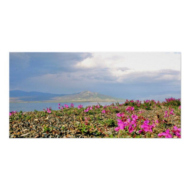 28x14 Poster brillante de escena de Homer Alaska (Anverso)