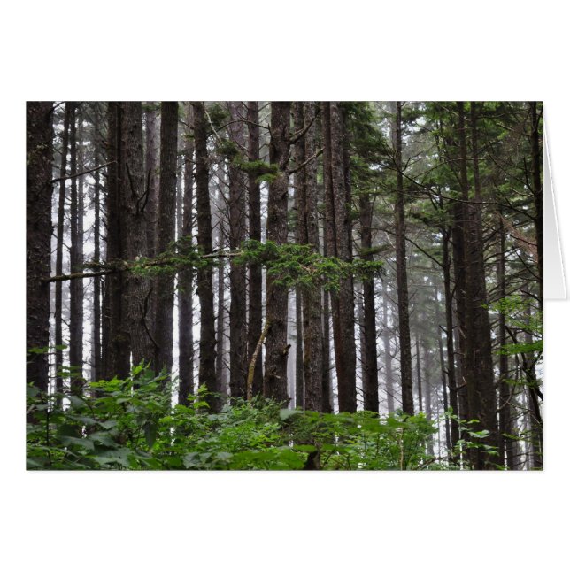 2.ª playa en La Push, WA (Anverso (Horizontal))