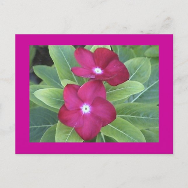 2.ª postal (Anverso)