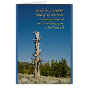 2 Corintios 4:15