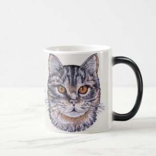 2 Gatos Kitty Parecen Una Copa De Café Mágico