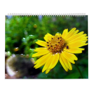2 página, calendario blanco grande