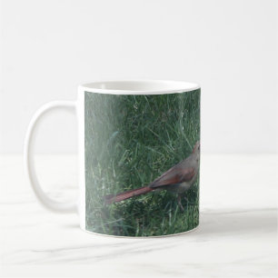 2 pájaros pequeños en la taza de café de hierba
