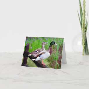 2 patos silvestres en una tarjeta de nota de la