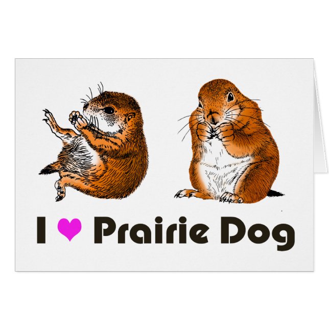 2 perros del preirie (Anverso (Horizontal))