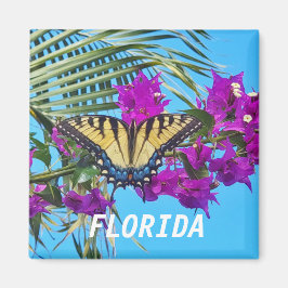 2 pulgadas cuadrado imán