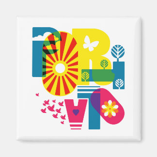 2 pulgadas cuadrado imán