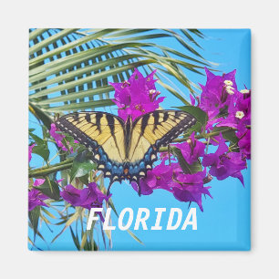 2 pulgadas cuadrado imán